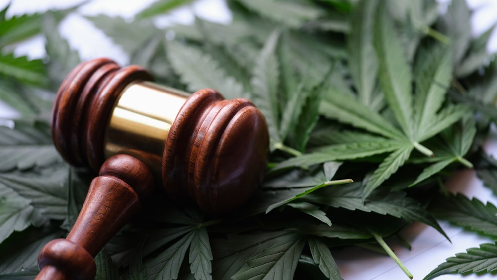 a gavel and marijuana leaves representing the article's topic about California Prop 64 FAQ