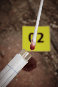 a cotton swab collecting of blood stains for DNA tests to illustrate the article what is exoneration