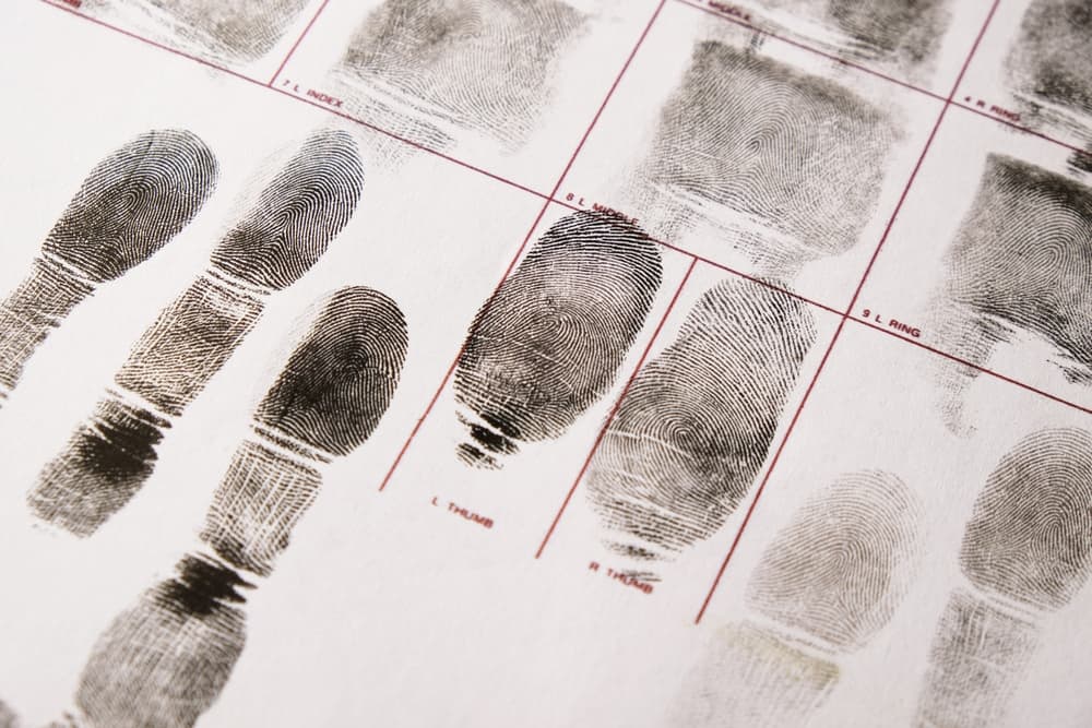 fingerprints card illustrating article about Understanding Pre-Filing Diversion in California